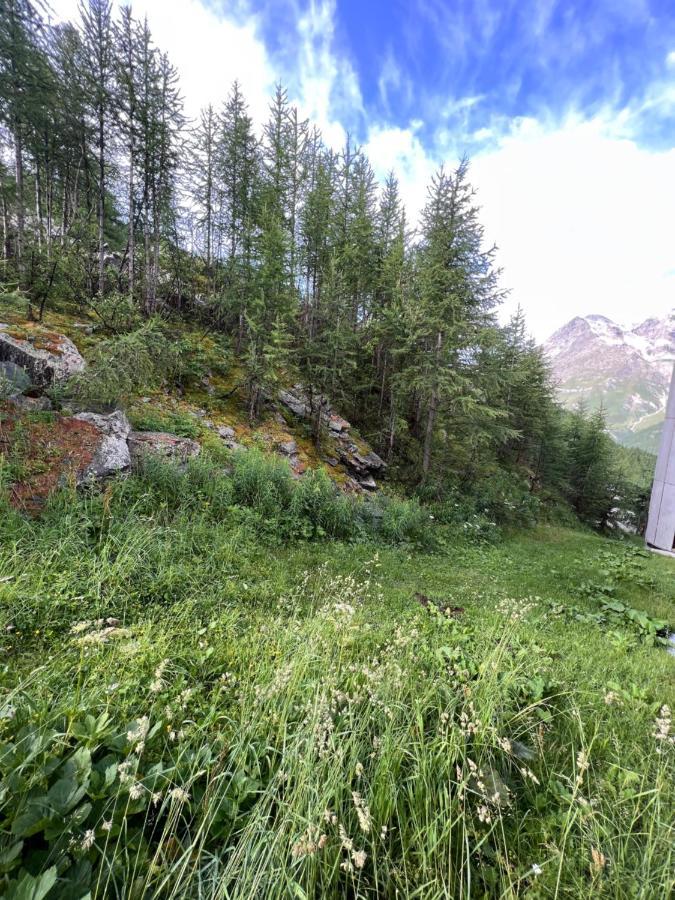 Apartamento Casa Cervinia Shuss 2 Breuil-Cervinia Exterior foto